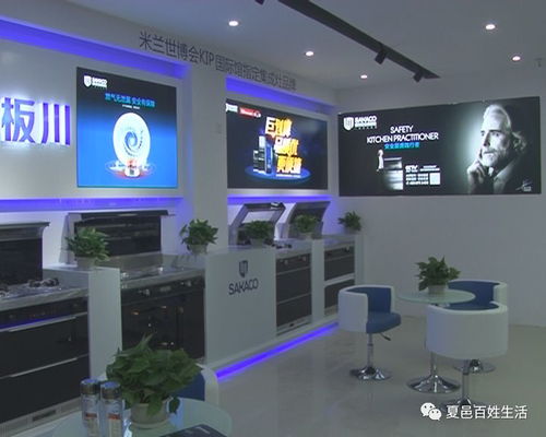 中原商贸港精品馆入驻商家系列报道二 商务信息咨询服务——赋能企业决策，驱动商贸新未来