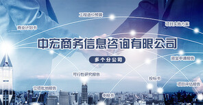 安顺项目申请报告全流程撰写与商务信息咨询服务解析